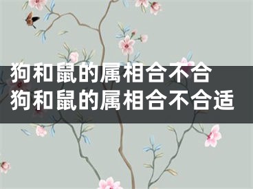 狗和鼠的属相合不合 狗和鼠的属相合不合适