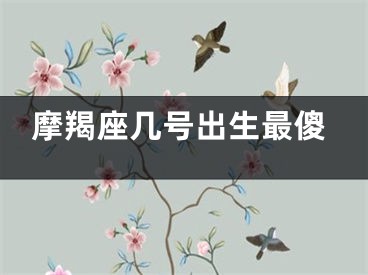 摩羯座几号出生最傻