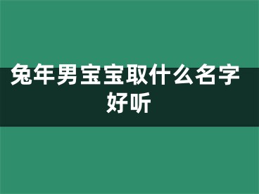 兔年男宝宝取什么名字好听