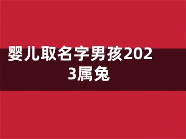 婴儿取名字男孩2023属兔