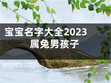 宝宝名字大全2023属兔男孩子