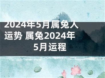2024年5月属兔人运势 属兔2024年5月运程