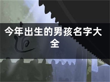 今年出生的男孩名字大全