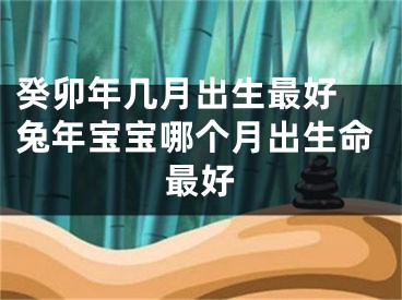 癸卯年几月出生最好 兔年宝宝哪个月出生命最好