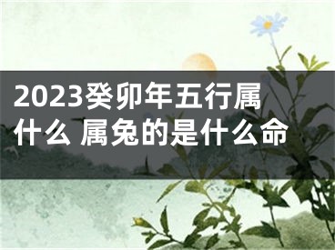 2023癸卯年五行属什么 属兔的是什么命