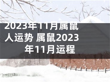 2023年11月属鼠人运势 属鼠2023年11月运程