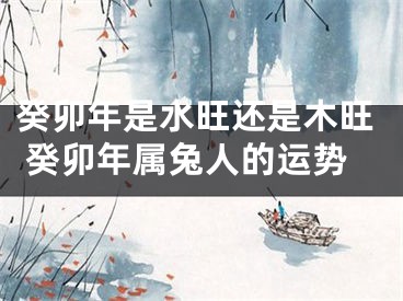 癸卯年是水旺还是木旺 癸卯年属兔人的运势