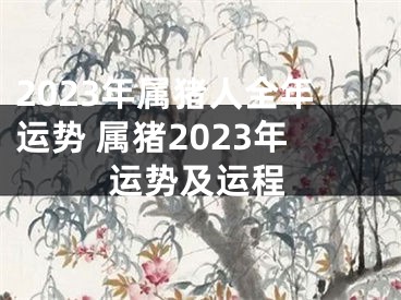 2023年属猪人全年运势 属猪2023年运势及运程