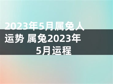 2023年5月属兔人运势 属兔2023年5月运程