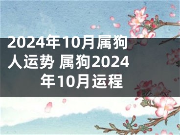 2024年10月属狗人运势 属狗2024年10月运程