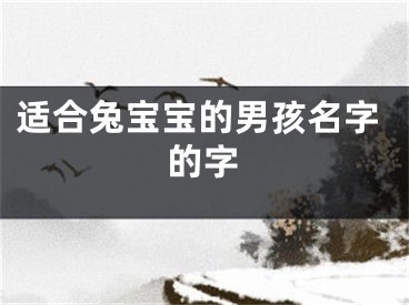 适合兔宝宝的男孩名字的字