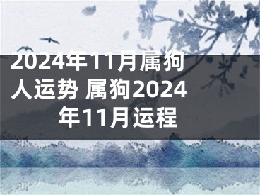 2024年11月属狗人运势 属狗2024年11月运程