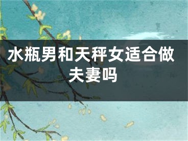 水瓶男和天秤女适合做夫妻吗