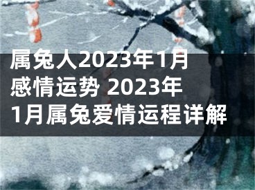 属兔人2023年1月感情运势 2023年1月属兔爱情运程详解