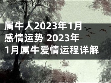 属牛人2023年1月感情运势 2023年1月属牛爱情运程详解