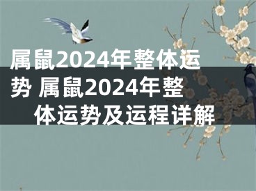 属鼠2024年整体运势 属鼠2024年整体运势及运程详解