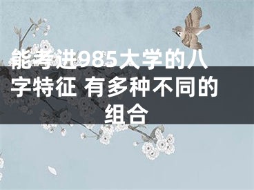 能考进985大学的八字特征 有多种不同的组合
