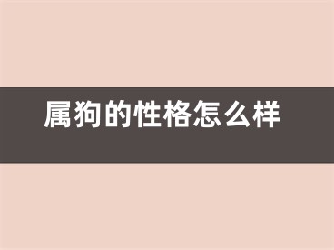 属狗的性格怎么样