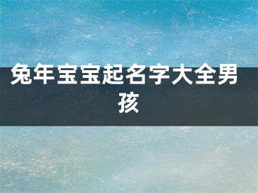 兔年宝宝起名字大全男孩