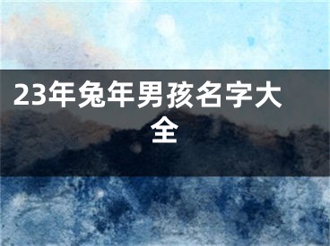 23年兔年男孩名字大全