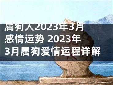 属狗人2023年3月感情运势 2023年3月属狗爱情运程详解
