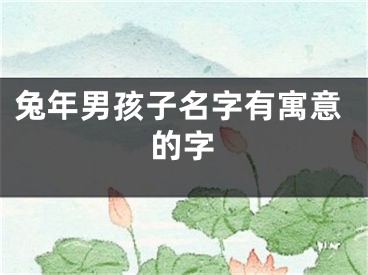 兔年男孩子名字有寓意的字