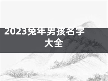 2023兔年男孩名字大全