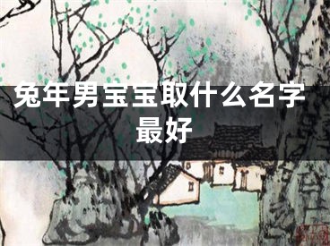 兔年男宝宝取什么名字最好