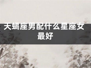 天蝎座男配什么星座女最好