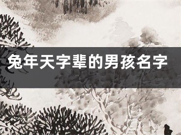 兔年天字辈的男孩名字