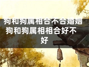 狗和狗属相合不合婚姻 狗和狗属相相合好不好