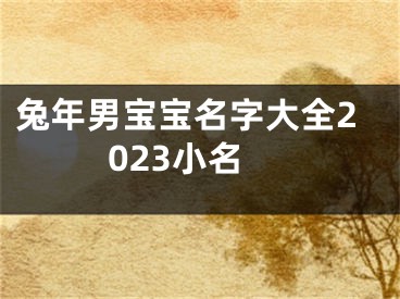 兔年男宝宝名字大全2023小名