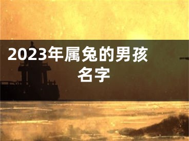2023年属兔的男孩名字