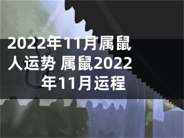 2022年11月属鼠人运势 属鼠2022年11月运程