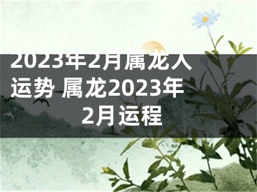 2023年2月属龙人运势 属龙2023年2月运程