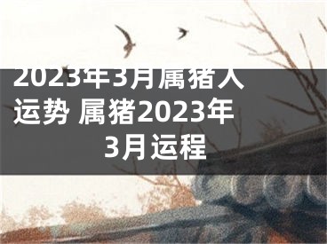 2023年3月属猪人运势 属猪2023年3月运程