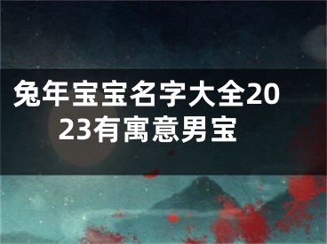 兔年宝宝名字大全2023有寓意男宝