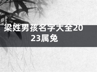 梁姓男孩名字大全2023属兔