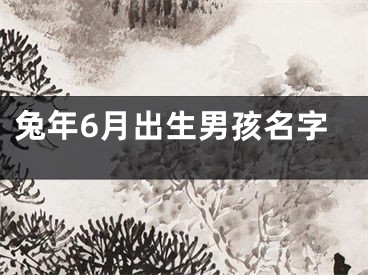 兔年6月出生男孩名字