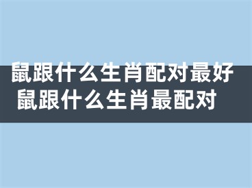 鼠跟什么生肖配对最好 鼠跟什么生肖最配对