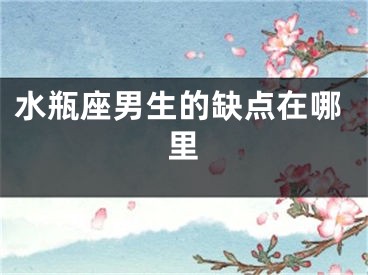 水瓶座男生的缺点在哪里