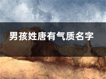 男孩姓唐有气质名字