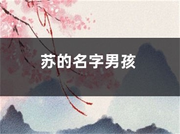 苏的名字男孩