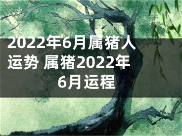 2022年6月属猪人运势 属猪2022年6月运程