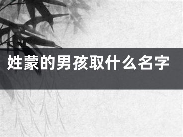 姓蒙的男孩取什么名字