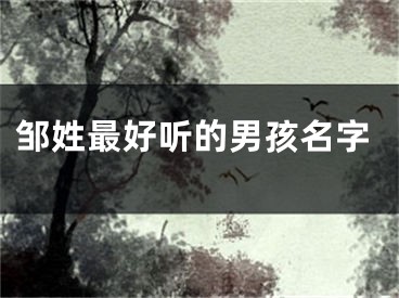 邹姓最好听的男孩名字