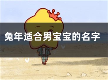兔年适合男宝宝的名字
