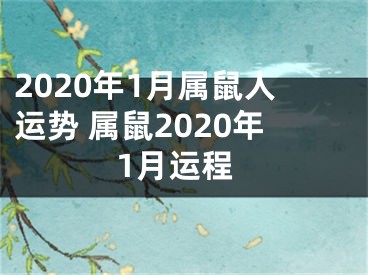 2020年1月属鼠人运势 属鼠2020年1月运程