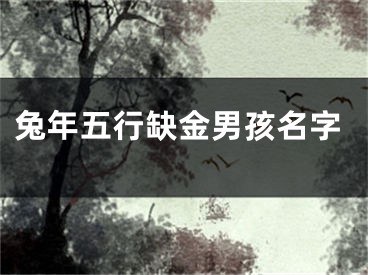 兔年五行缺金男孩名字