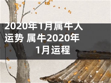 2020年1月属牛人运势 属牛2020年1月运程